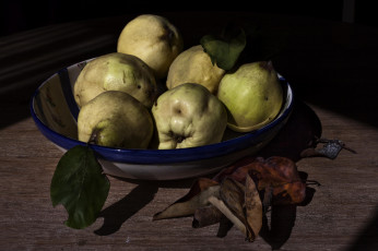Картинка еда груши плоды