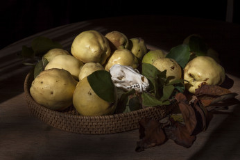 Картинка еда груши плоды