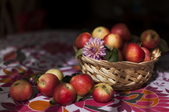 Картинка еда Яблоки яблочки