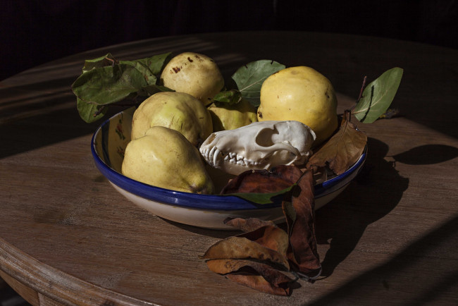 Обои картинки фото еда, груши, плоды