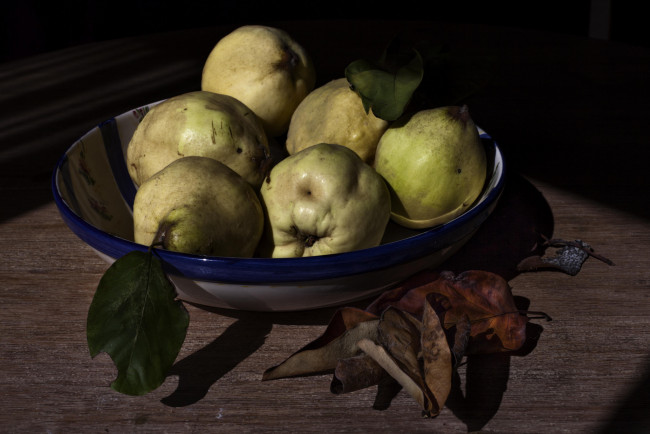 Обои картинки фото еда, груши, плоды