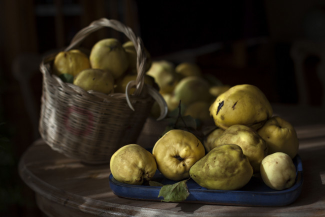 Обои картинки фото еда, груши, плоды