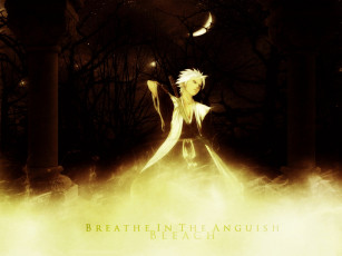 Картинка аниме bleach шинигами капитан hitsugaya toshiro shinigami gotei13