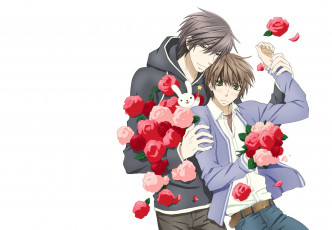 Картинка аниме sekai+ichi+hatsukoi парни