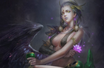 Картинка фэнтези ангелы тишина ночь fantasy девушка лотос