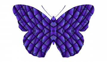 Картинка векторная+графика животные+ animals бабочка фон