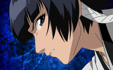 Картинка аниме bleach блич