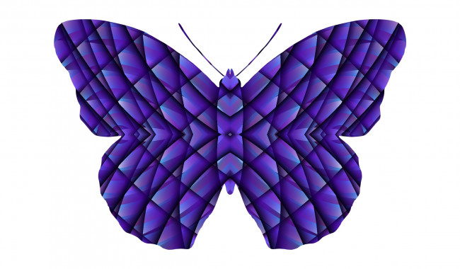 Обои картинки фото векторная графика, животные , animals, бабочка, фон