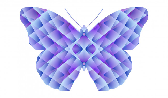 Обои картинки фото векторная графика, животные , animals, фон, бабочка