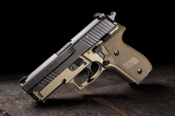 Картинка sig+sauer+p229+combat оружие пистолеты ствол