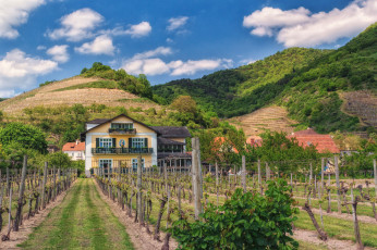 Картинка города -+пейзажи простор