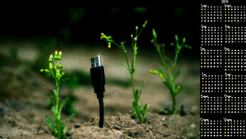 Картинка календари компьютерный+дизайн цветок шнур