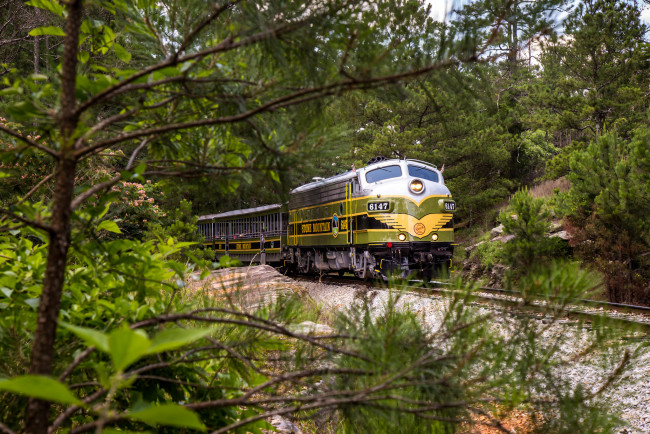 Обои картинки фото техника, поезда, локомотив, состав