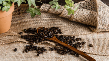 Картинка кофе еда +кофейные+зёрна кофс ложка зерна