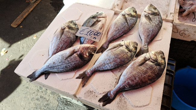 Обои картинки фото еда, рыба,  морепродукты,  суши,  роллы, свежая, ценник