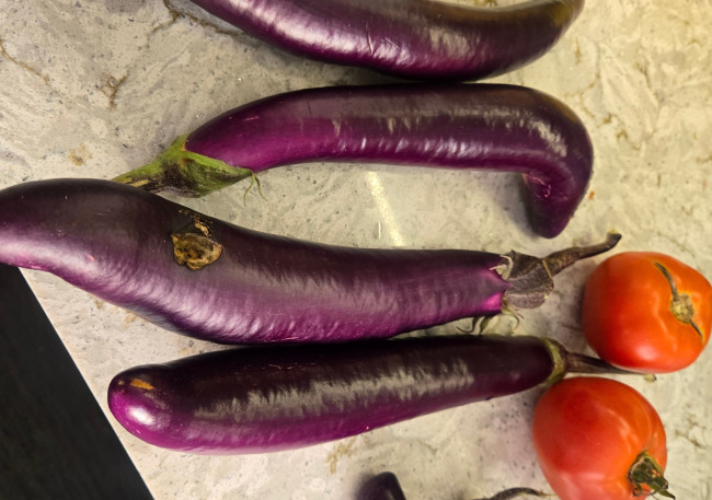 Обои картинки фото еда, овощи, баклажаны, помидоры