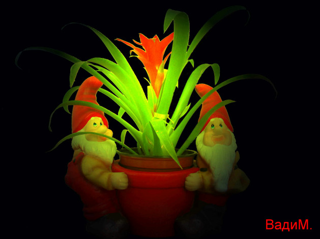 Обои картинки фото гномы, разное, игрушки