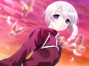 Картинка аниме *unknown другое