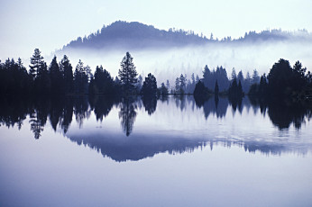 Картинка природа