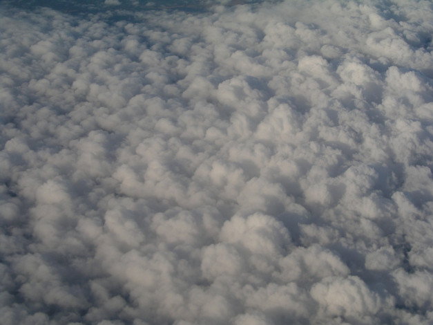 Обои картинки фото природа