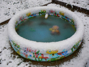 Картинка разное игрушки