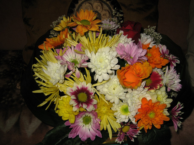 Обои картинки фото цветы, букеты, композиции