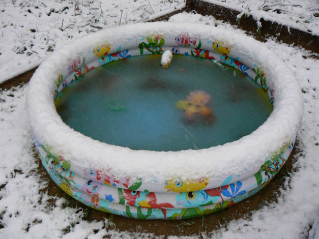 Обои картинки фото разное, игрушки