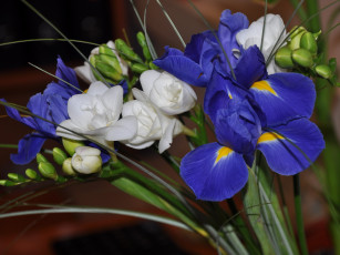 Картинка цветы разные вместе