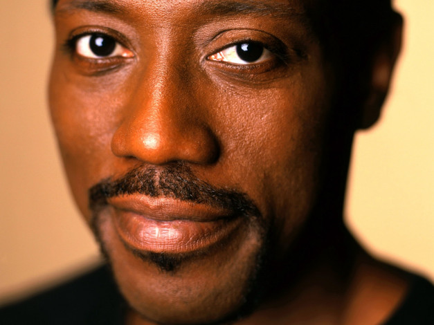 Обои картинки фото wesley, snipes, мужчины