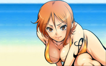 Картинка аниме one piece nami