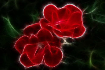 Картинка 3д графика flowers цветы тёмный фон