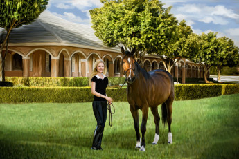 Картинка рисованные люди девушка лошадь