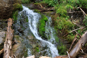 Картинка природа водопады деревья