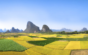 Картинка природа поля небо горы