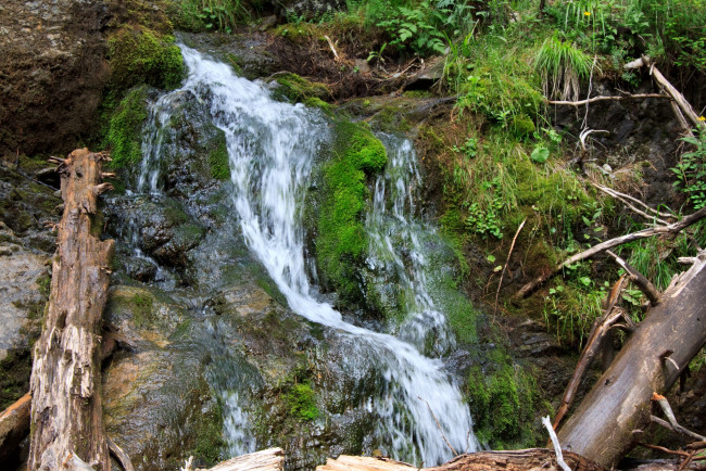 Обои картинки фото природа, водопады, деревья