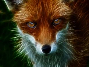 Картинка разное компьютерный дизайн лиса морда