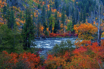 Картинка природа реки озера осень
