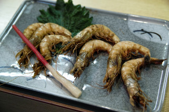 Картинка еда рыба +морепродукты +суши +роллы креветки