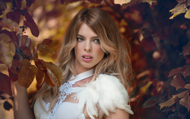 Обои картинки фото девушки, jolie louise, взгляд, модель, jolie, louise, настроение, стиль, листья, ветки, перья