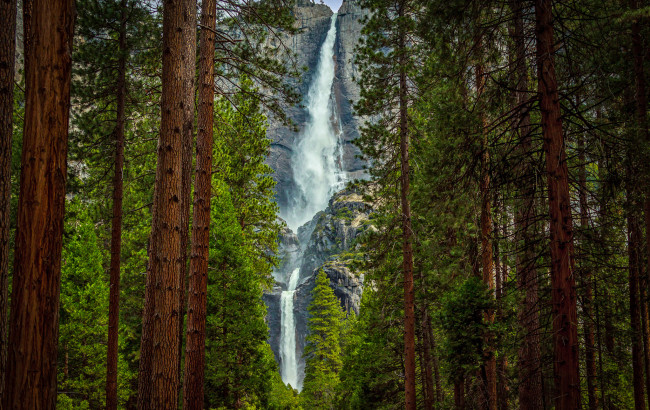 Обои картинки фото природа, водопады, деревья, скала, водопад, лес, горы