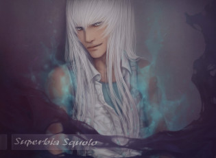 Картинка аниме katekyo+hitman+reborn superbi squalo