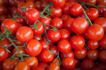 Картинка еда помидоры томаты
