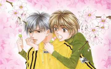 Картинка аниме hanakimi парни