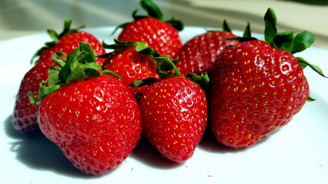 Обои картинки фото еда, клубника,  земляника, ягоды