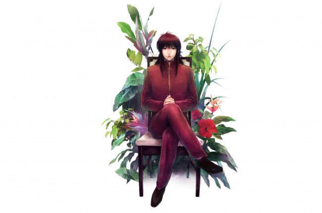 Обои картинки фото аниме, yu yu hakusho, kurama