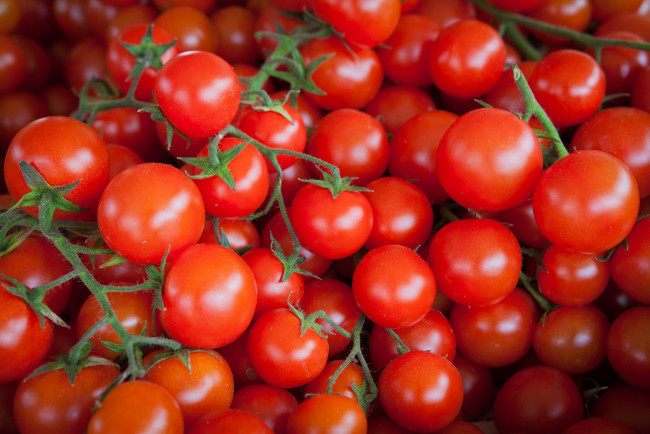 Обои картинки фото еда, помидоры, томаты
