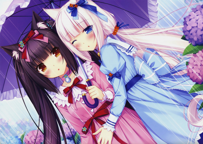 Обои картинки фото nekopara, аниме, фон, взгляд, девушки