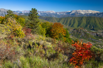 Картинка природа пейзажи простор