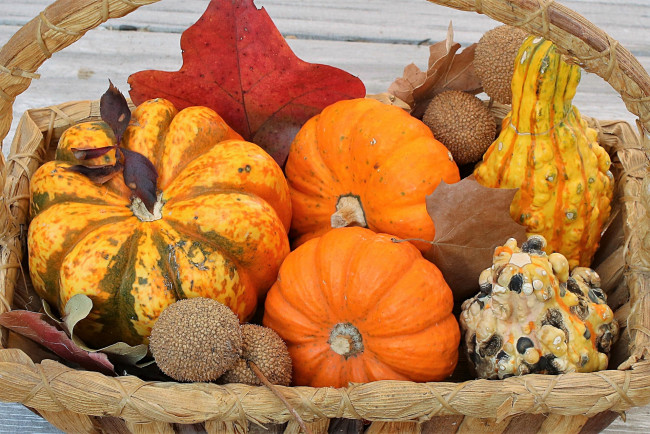 Обои картинки фото еда, тыква, листья, корзинка