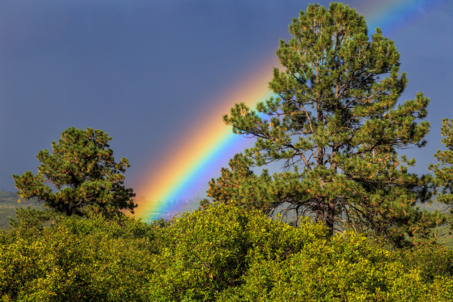 Обои картинки фото природа, радуга, простор
